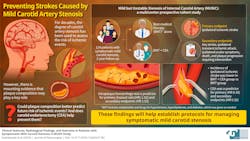 681e15c3afd51924eb4e890c Infographic 3 681e15c3afd51924eb4e890c Infographic 3