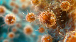 6827c90eb434efdfd1ed9c4c Adobestock 1168120491 6827c90eb434efdfd1ed9c4c Adobestock 1168120491