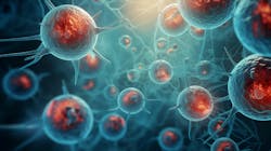 6839c496d8eda5b2bfe8aa99 Adobestock 785640358 6839c496d8eda5b2bfe8aa99 Adobestock 785640358