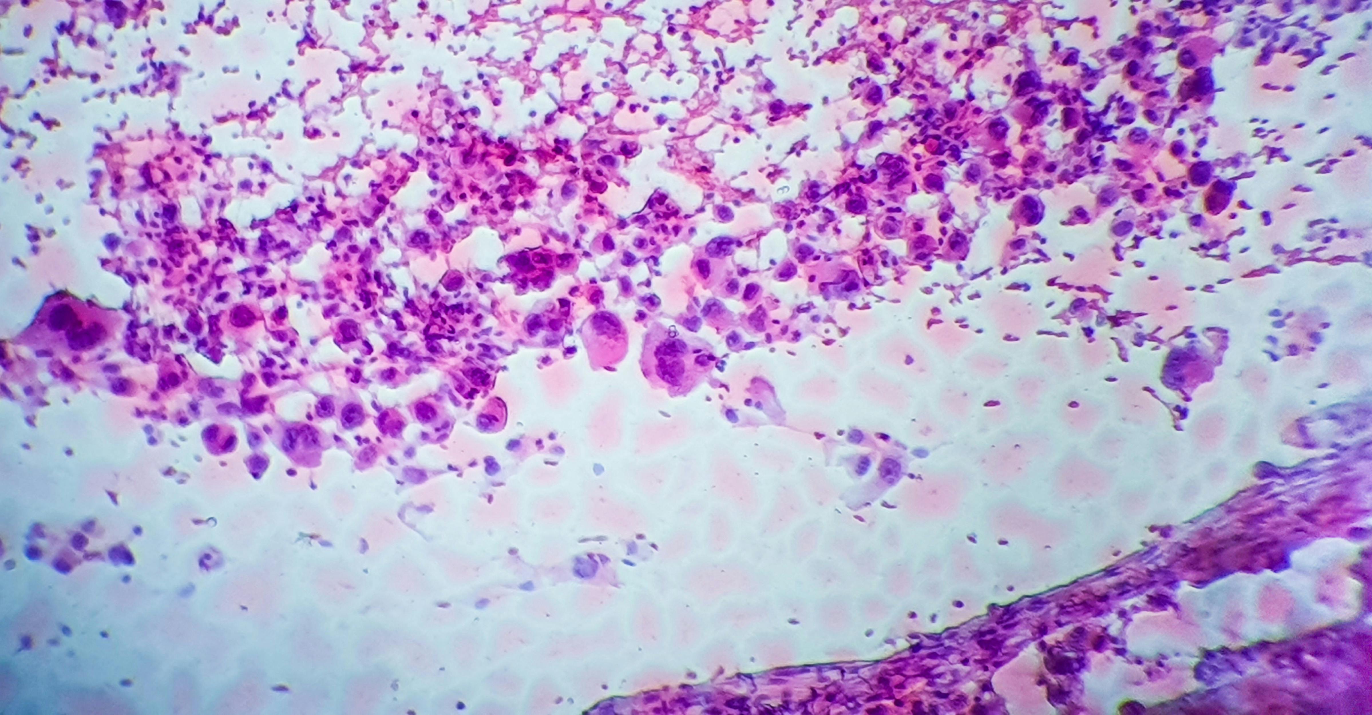 683dd2c2f7a019dc5efbc914 Dreamstime Xxl 181938771