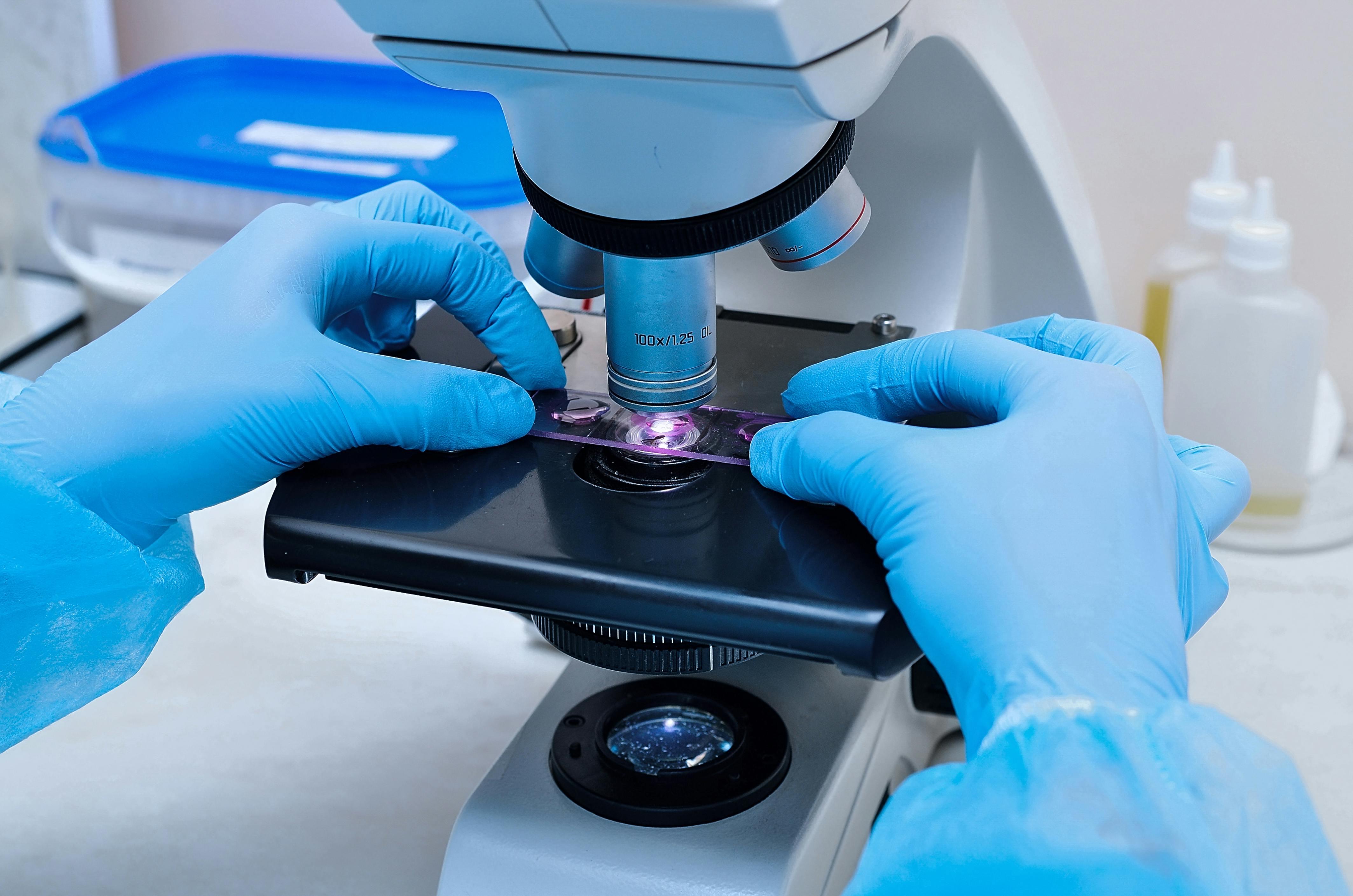 6848ca0da5d07a24372efa47 Dreamstime Xxl 131290021