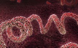 6855bc74dc23704f4cdbc6b0 2507mlo 1617 Ci1 6855bc74dc23704f4cdbc6b0 2507mlo 1617 Ci1