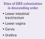 Figure 1. Sites of GBS colonization. Vaginal colonization is intermittent; anorectal colonization is more constant. GBS in the urinary tract is indicative of heavy colonization. Figure 1. Sites of GBS colonization. Vaginal colonization is intermittent; anorectal colonization is more constant. GBS in the urinary tract is indicative of heavy colonization.