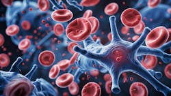 685c105ee758bd4f7ab180f3 Adobestock 1198712854 685c105ee758bd4f7ab180f3 Adobestock 1198712854