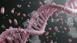 6866758e1c112044d13aa1d5 Dreamstime Xxl 369376128 6866758e1c112044d13aa1d5 Dreamstime Xxl 369376128