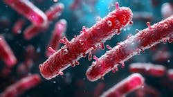 686d369f2b416fe99c487762 Adobestock 1333177781 686d369f2b416fe99c487762 Adobestock 1333177781