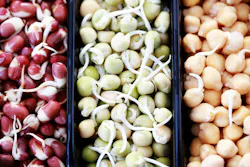 687a53f935e83d4f025335c6 Dreamstime Xxl 14264214 687a53f935e83d4f025335c6 Dreamstime Xxl 14264214