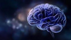 6880f6e1199b19dc5cd9dd9a Adobestock 1576148951 6880f6e1199b19dc5cd9dd9a Adobestock 1576148951