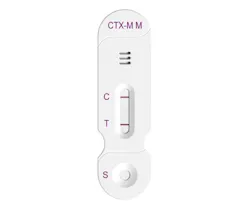 6883cbaa08da7277e67a94a6 Ctxm 1 6883cbaa08da7277e67a94a6 Ctxm 1