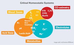 Figure 1. The interaction of Critical homeostatic systems. Figure 1. The interaction of Critical homeostatic systems.