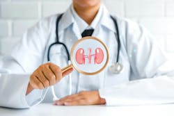 68a48134f67392d0424b652e Adobestock 635091092 68a48134f67392d0424b652e Adobestock 635091092