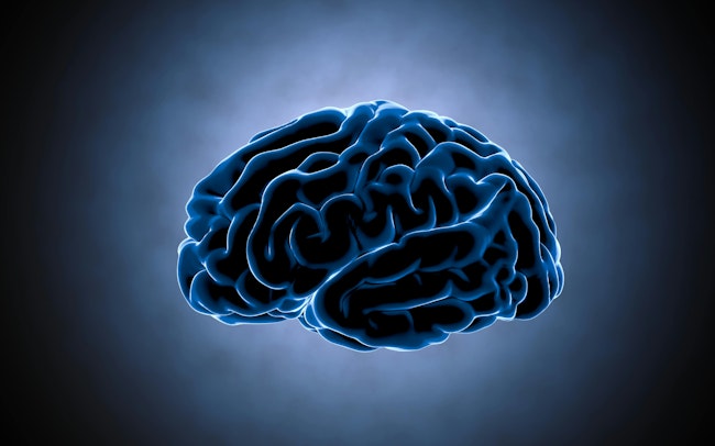 68a72f4aaf173eff4ebcef26 Dreamstime Xxl 66091310