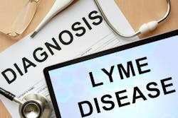 68a731f5fa5cb60fcd45986c Dreamstime Xxl 54478965 68a731f5fa5cb60fcd45986c Dreamstime Xxl 54478965