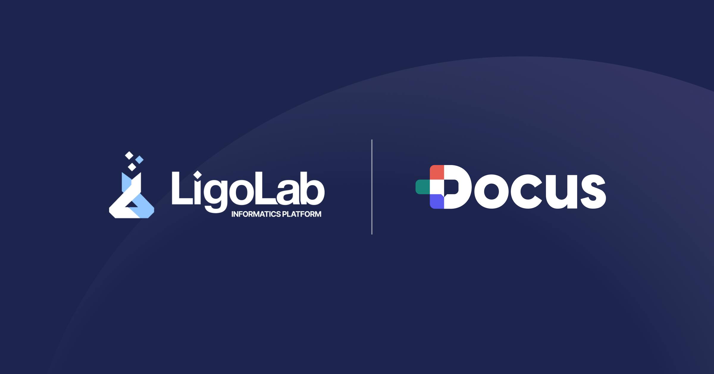 68af176ed208173b63047c91 Ligo Docus Ai