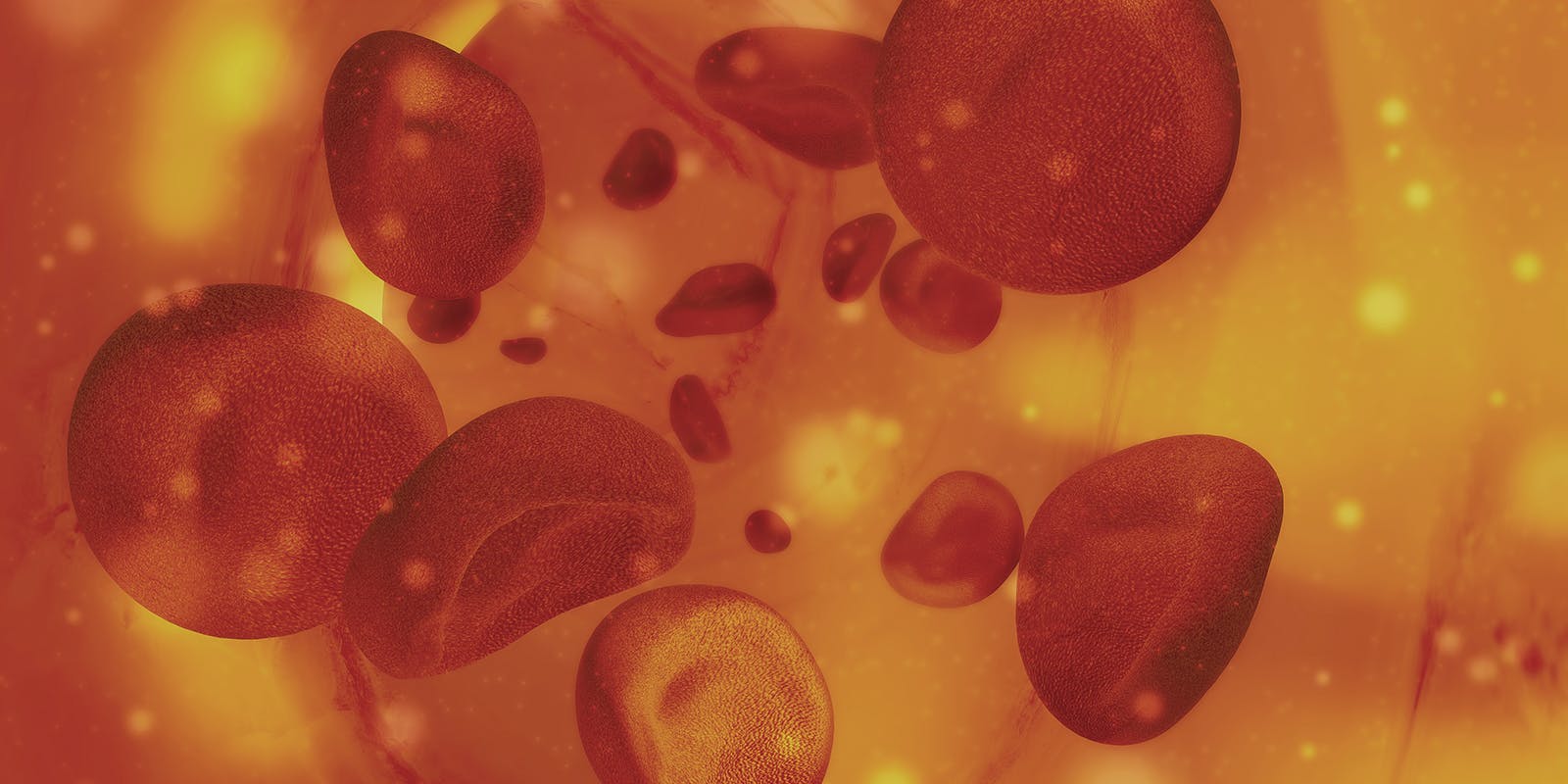 photometric__color_adjusted_banner_080125