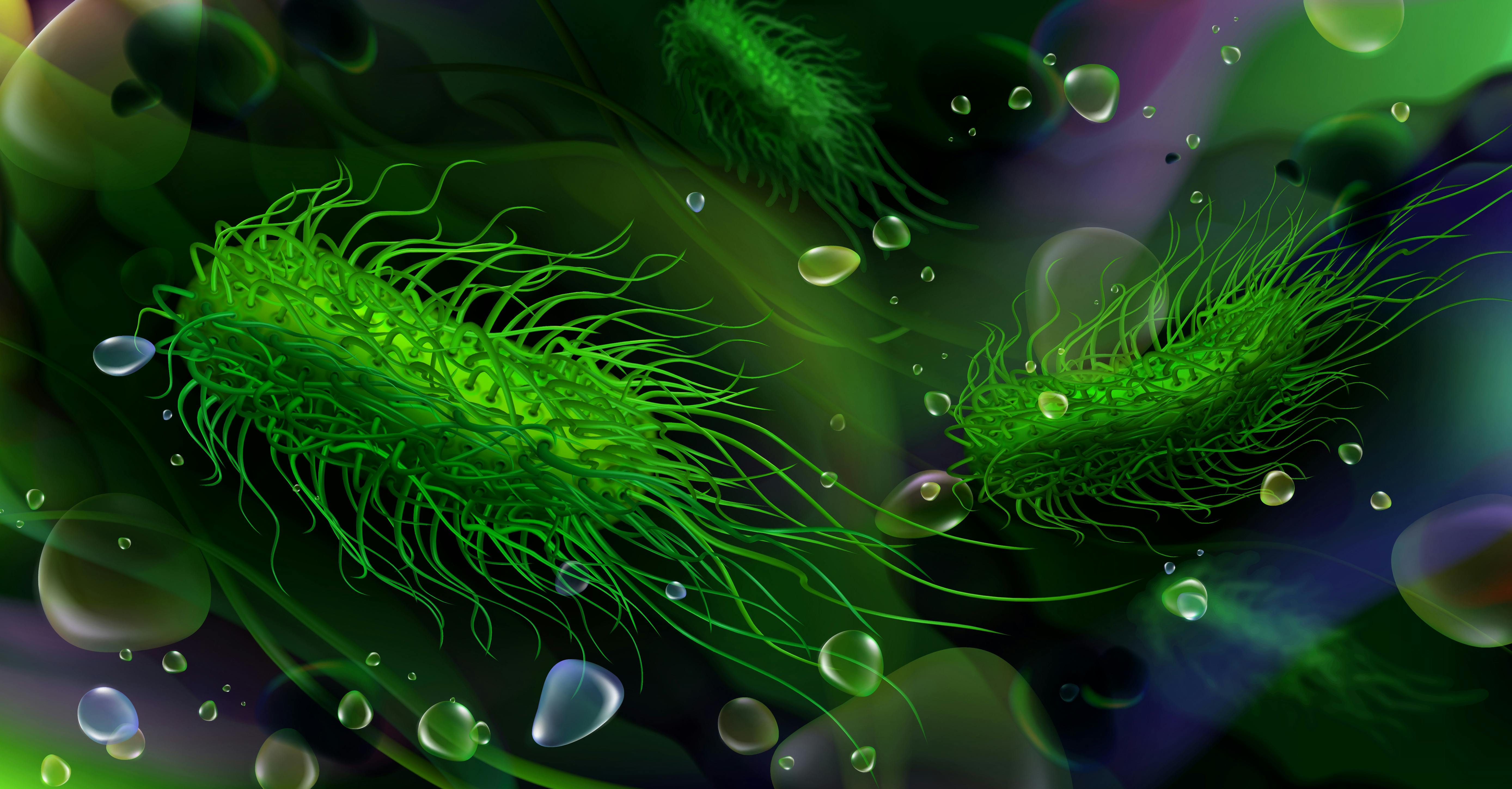 68b1b8426216f62ebff2c550 Dreamstime Xxl 141805297