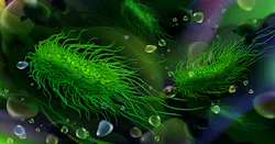 68b1b8426216f62ebff2c550 Dreamstime Xxl 141805297 68b1b8426216f62ebff2c550 Dreamstime Xxl 141805297