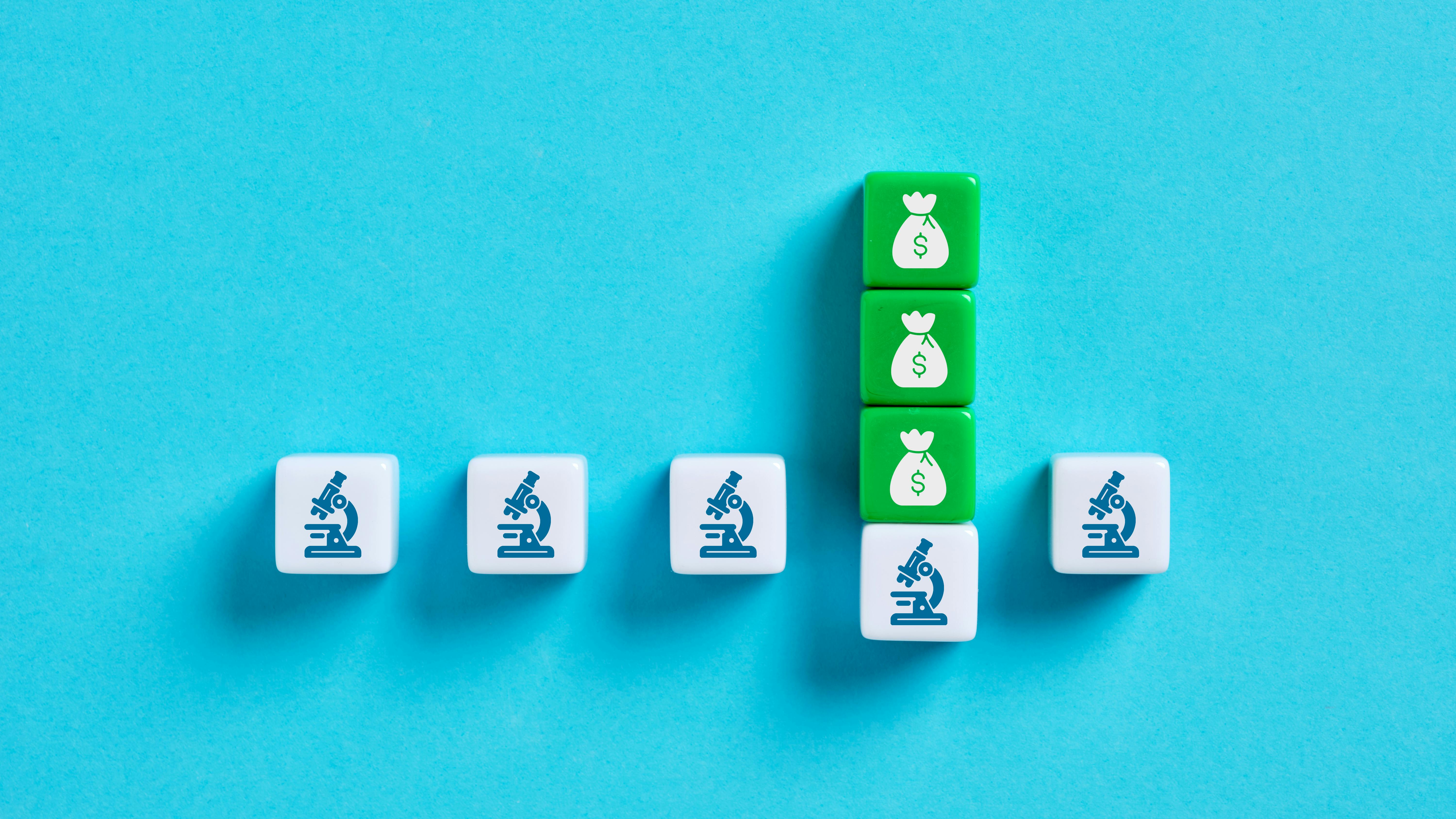 dreamstime_xxl_361860385