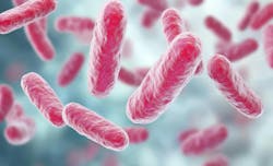 68b70143286ddd357545cd23 Dreamstime Xxl 370302281 68b70143286ddd357545cd23 Dreamstime Xxl 370302281