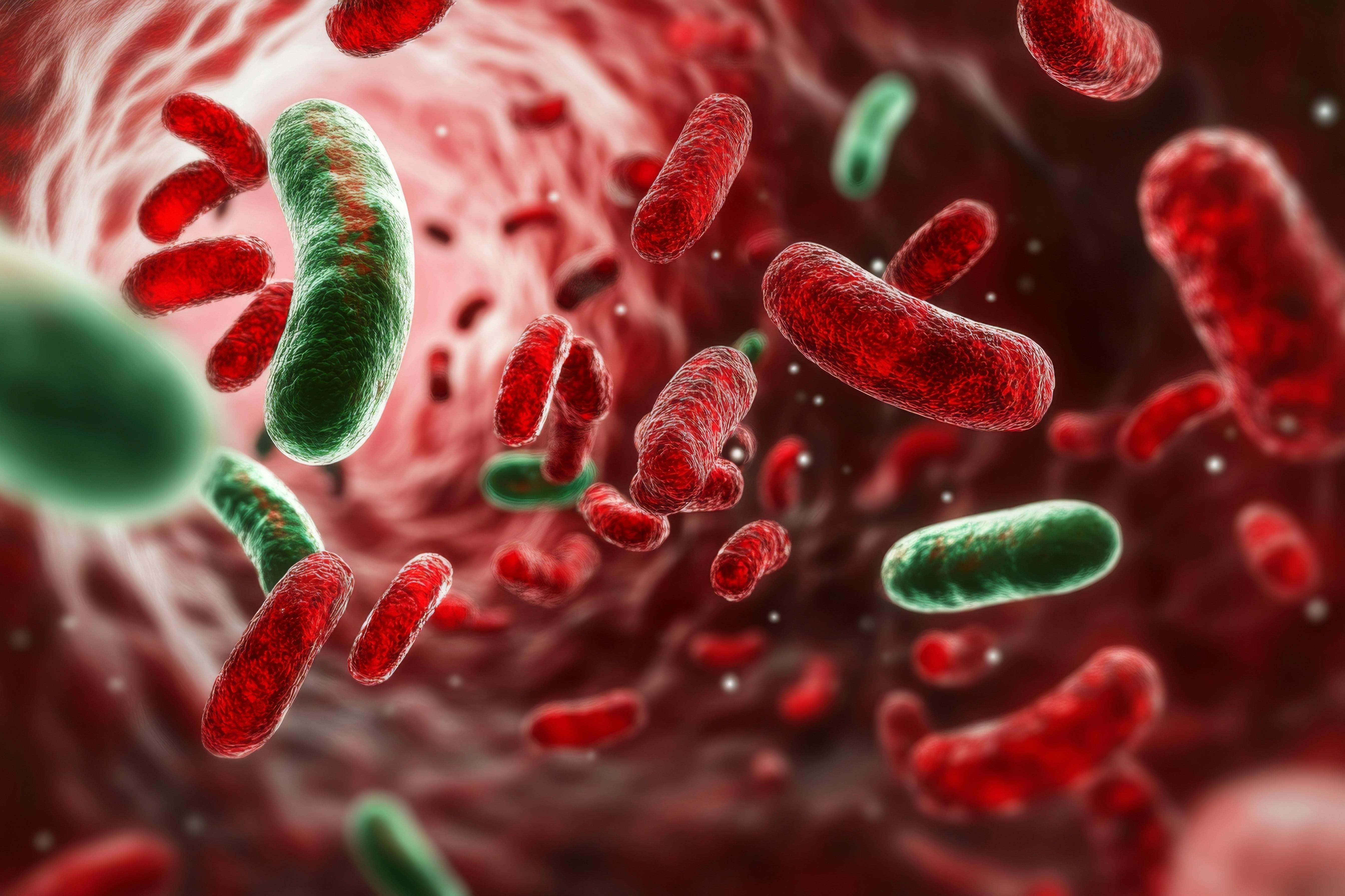 68c0300781d5f6bd3335ce53 Dreamstime Xxl 336482988