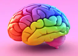 68c2e87de4db0af44de4d2bd Dreamstime Xxl 366631999 68c2e87de4db0af44de4d2bd Dreamstime Xxl 366631999