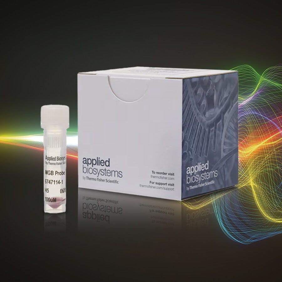 68c430f342fdcea2b1025e5b 1757517541095