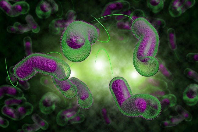 68c82c8842fda49f9b036606 Dreamstime Xxl 60302864