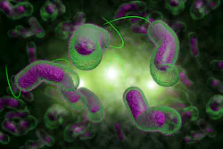 68c82c8842fda49f9b036606 Dreamstime Xxl 60302864 68c82c8842fda49f9b036606 Dreamstime Xxl 60302864