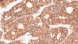 68c9751c0f0c27e0ea3454d0 Adobestock 301029997 68c9751c0f0c27e0ea3454d0 Adobestock 301029997