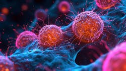 68cc1e2537deb05f973a510e Dreamstime Xxl 306716011 68cc1e2537deb05f973a510e Dreamstime Xxl 306716011