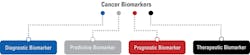 Figure 1. Based on their use, cancer biomarkers can be broadly classified as shown.2 Figure 1. Based on their use, cancer biomarkers can be broadly classified as shown.2