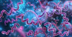 68d55e0b598f2291bfab1c63 Adobestock 956472750 68d55e0b598f2291bfab1c63 Adobestock 956472750