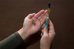 68d6989e46969dc772f665ff Adobestock 978000528 68d6989e46969dc772f665ff Adobestock 978000528