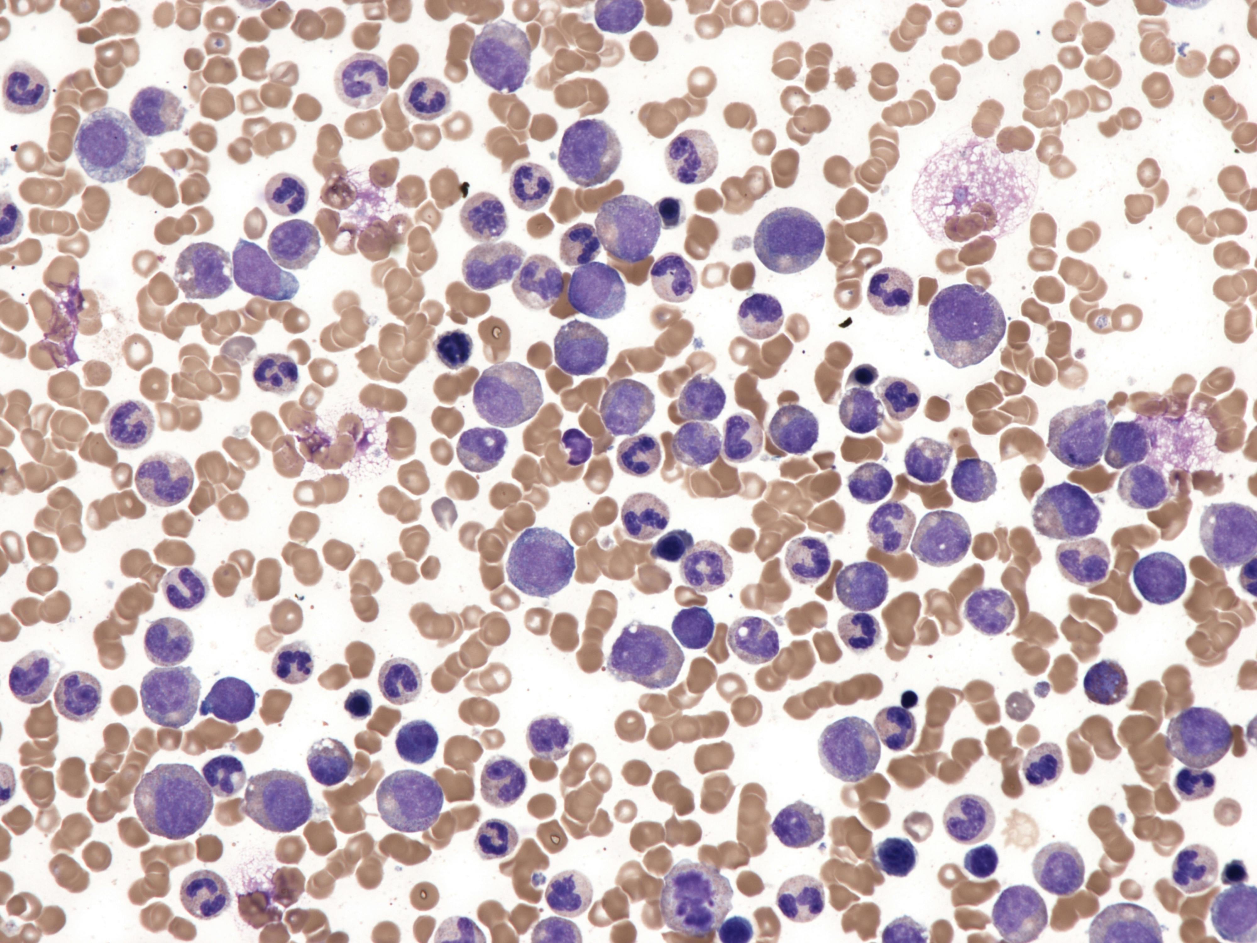 68e675e7eaa70bc21775ddae Dreamstime Xxl 372428619