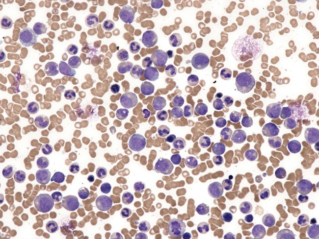 68e675e7eaa70bc21775ddae Dreamstime Xxl 372428619