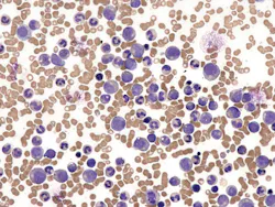 68e675e7eaa70bc21775ddae Dreamstime Xxl 372428619 68e675e7eaa70bc21775ddae Dreamstime Xxl 372428619