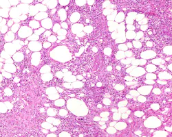 68ed0b9bbd0f01185b392460 Dreamstime Xxl 281280335 68ed0b9bbd0f01185b392460 Dreamstime Xxl 281280335