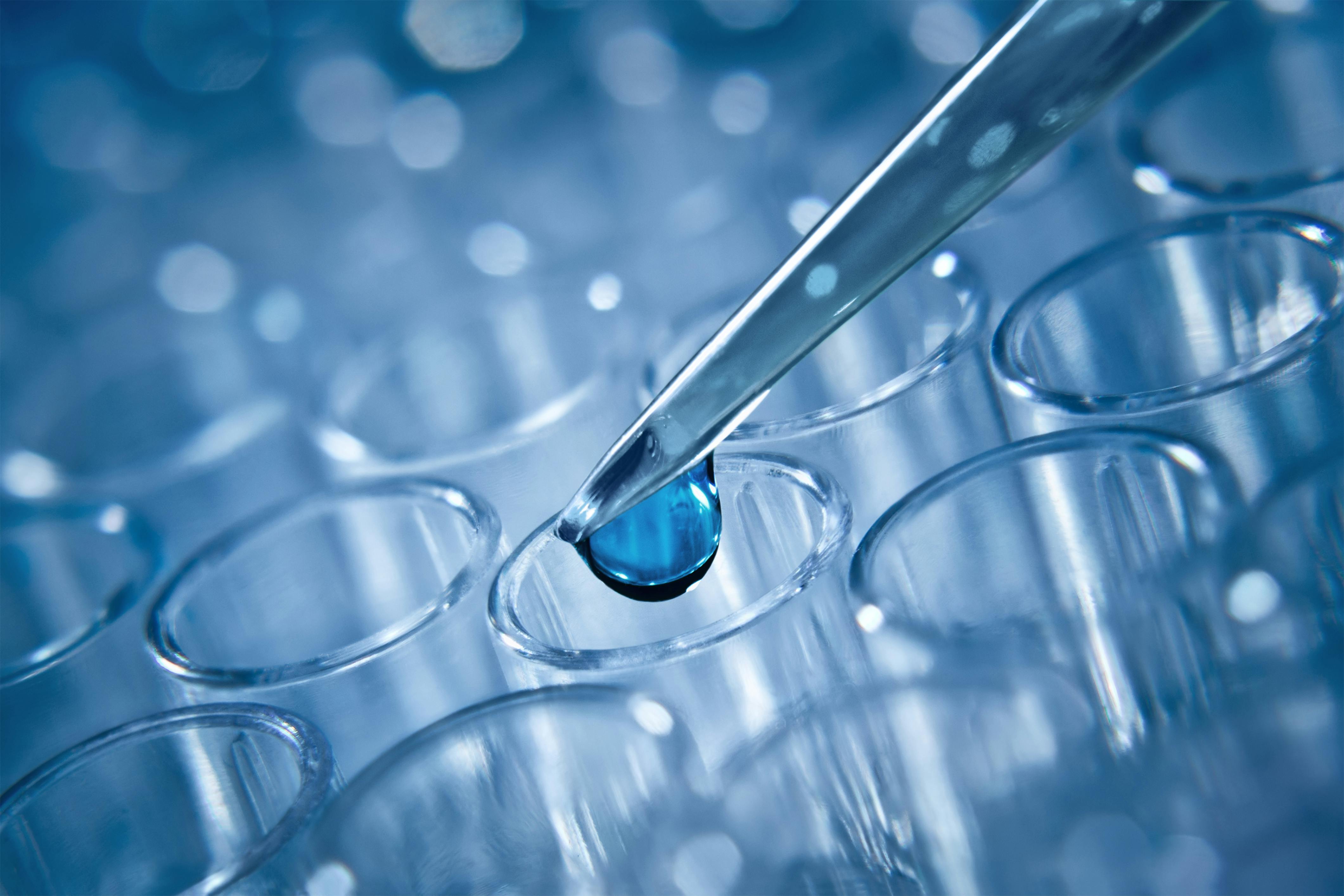 dreamstime_xxl_59832397