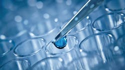 dreamstime_xxl_59832397 dreamstime_xxl_59832397