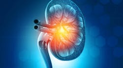 adobestock_308398393 adobestock_308398393