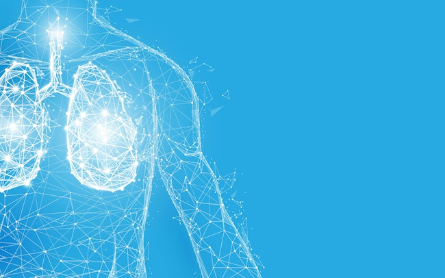 6904d353c483091d281bf994 Adobestock 202728044