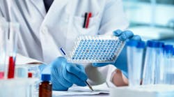 adobestock_494441446 adobestock_494441446