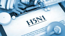 dreamstime_xxl_67864183 dreamstime_xxl_67864183