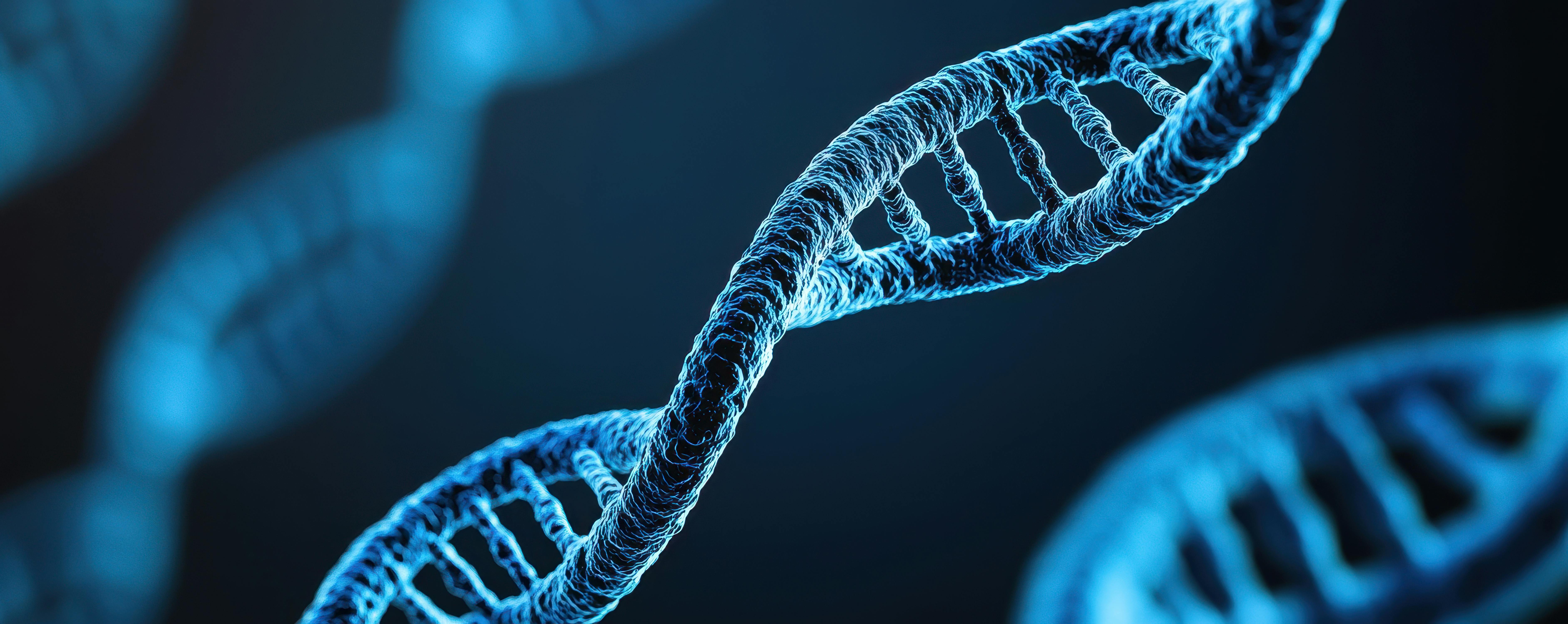 69120d61871ca525c38c86e0 Dreamstime Xxl 343027662