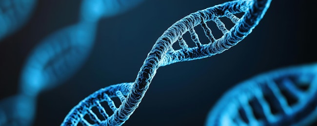 69120d61871ca525c38c86e0 Dreamstime Xxl 343027662