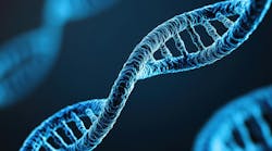 dreamstime_xxl_343027662 dreamstime_xxl_343027662