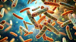 adobestock_955857855 adobestock_955857855