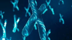 dreamstime_xxl_141703220 dreamstime_xxl_141703220