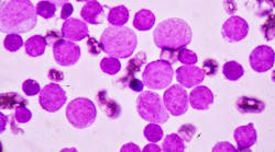 dreamstime_xxl_86265088 dreamstime_xxl_86265088