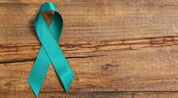 dreamstime_xxl_154936575 dreamstime_xxl_154936575